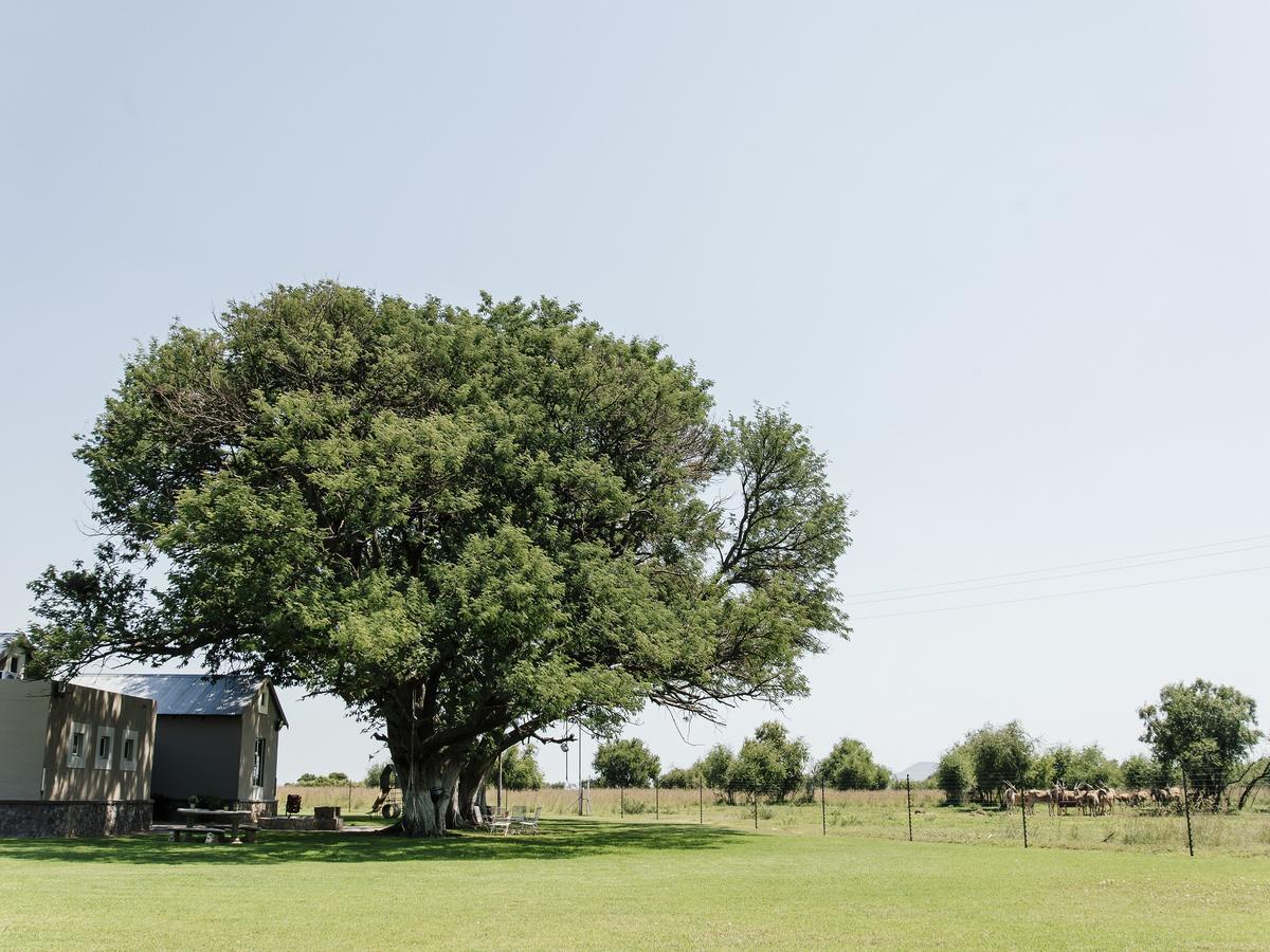 Buffalo Thorn Tree Lodge Swartruggens 外观 照片